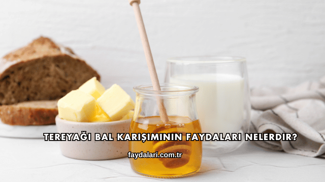 Tereyağı Bal Karışımının Faydaları Nelerdir?