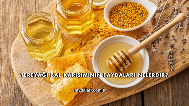 Tereyağı Bal Karışımının Faydaları Nelerdir?