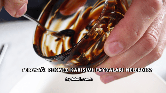 Tereyağı Pekmez Karışımı Faydaları Nelerdir?