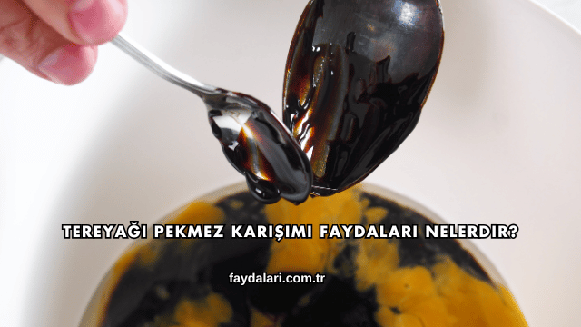 Tereyağı Pekmez Karışımı Faydaları Nelerdir?