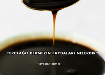 Tereyağlı Pekmezin Faydaları Nelerdir?