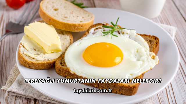 Tereyağlı Yumurtanın Faydaları Nelerdir?
