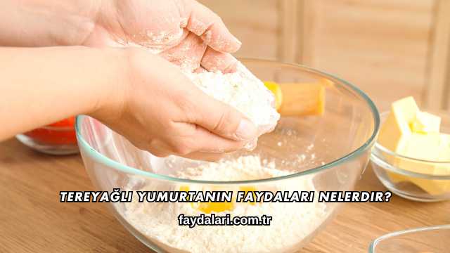Tereyağlı Yumurtanın Faydaları Nelerdir?