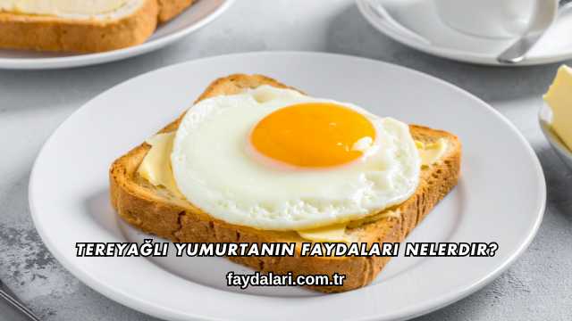 Tereyağlı Yumurtanın Faydaları Nelerdir?
