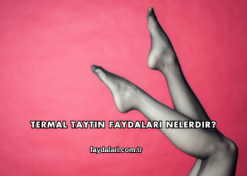 Termal Taytın Faydaları Nelerdir?
