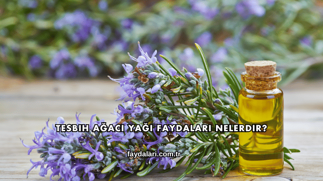 Tesbih Ağacı Yağı Faydaları Nelerdir?