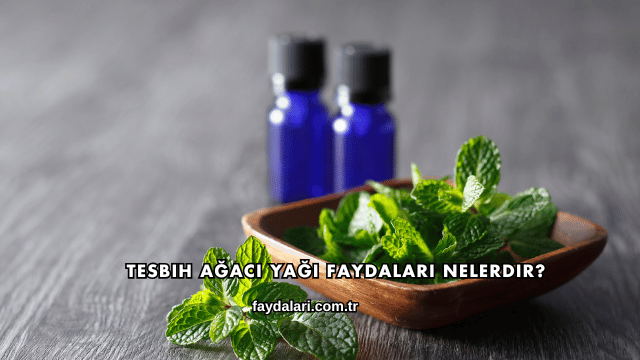 Tesbih Ağacı Yağı Faydaları Nelerdir?