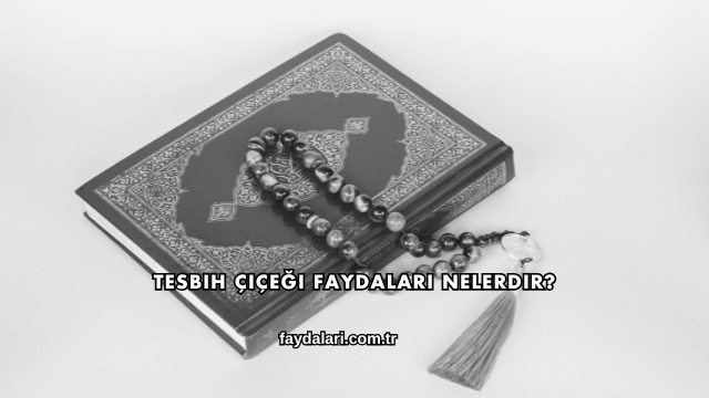 Tesbih Çiçeği Faydaları Nelerdir?