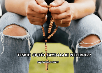 Tesbih Çiçeği Faydaları Nelerdir?