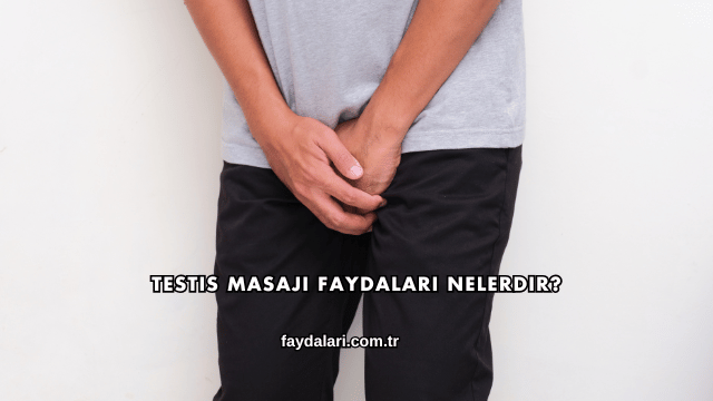 Testis Masajı Faydaları Nelerdir?