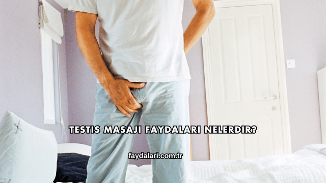 Testis Masajı Faydaları Nelerdir?