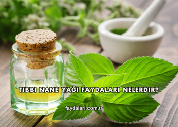 Tıbbi Nane Yağı Faydaları Nelerdir?