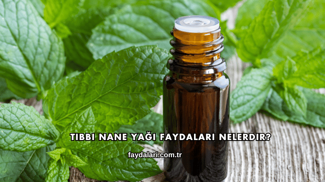 Tıbbi Nane Yağı Faydaları Nelerdir?