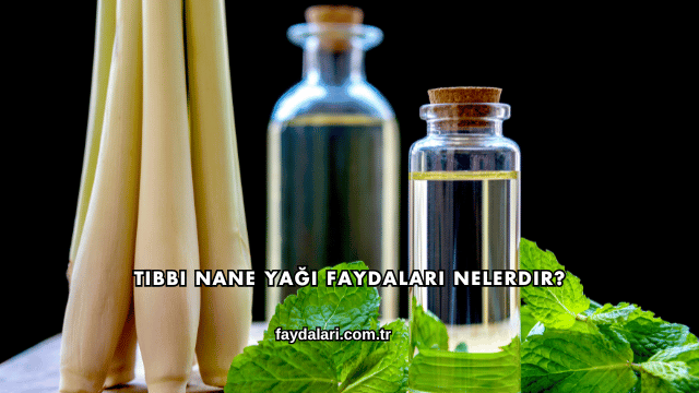 Tıbbi Nane Yağı Faydaları Nelerdir?