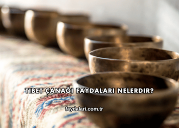 Tibet Çanağı Faydaları Nelerdir?