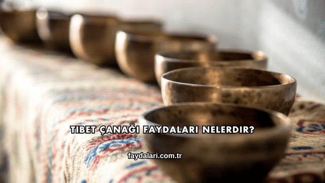 Tibet Çanağı Faydaları Nelerdir?