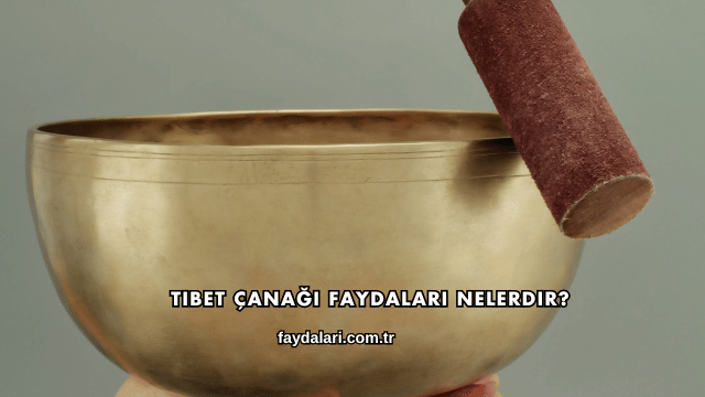 Tibet Çanağı Faydaları Nelerdir?