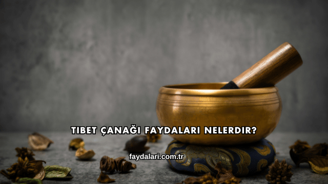 Tibet Çanağı Faydaları Nelerdir?