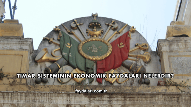 Tımar Sisteminin Ekonomik Faydaları Nelerdir?