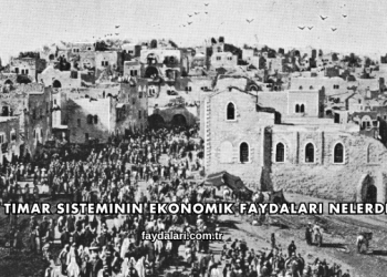 Tımar Sisteminin Ekonomik Faydaları Nelerdir?