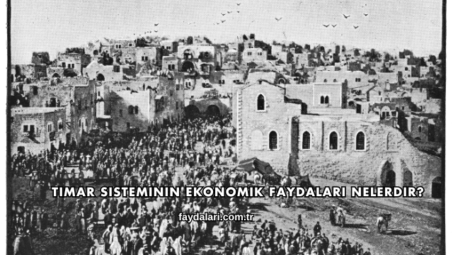 Tımar Sisteminin Ekonomik Faydaları Nelerdir?