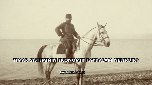 Tımar Sisteminin Ekonomik Faydaları Nelerdir?