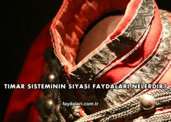Tımar Sisteminin Siyasi Faydaları Nelerdir?