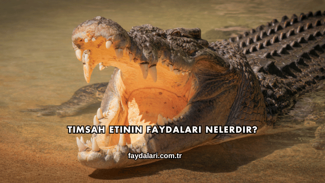 Timsah Etinin Faydaları Nelerdir?