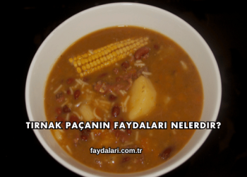 Tırnak Paçanın Faydaları Nelerdir?