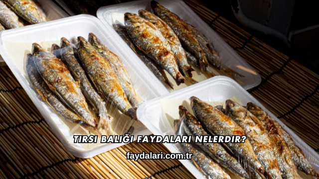 Tirsi Balığı Faydaları Nelerdir?