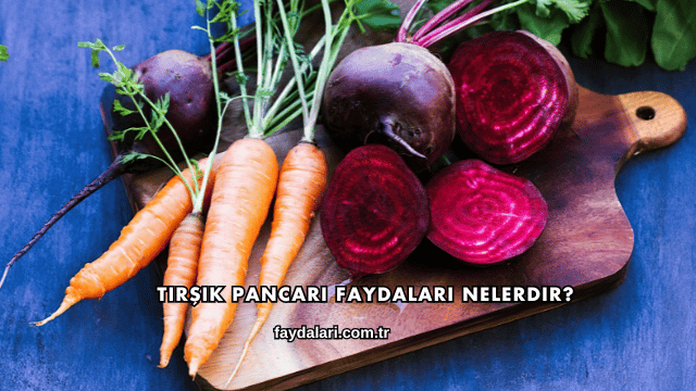 Tirşik Pancarı Faydaları Nelerdir?