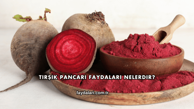 Tirşik Pancarı Faydaları Nelerdir?