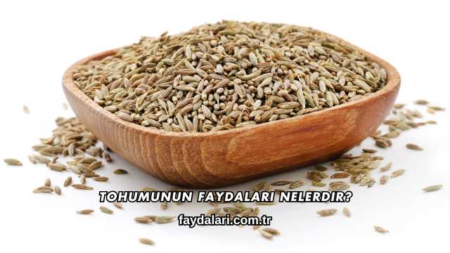 Tohumunun Faydaları Nelerdir?