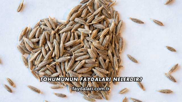 Tohumunun Faydaları Nelerdir?