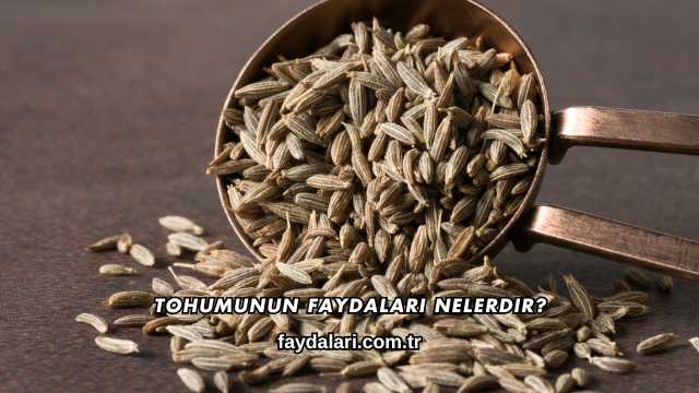 Tohumunun Faydaları Nelerdir?