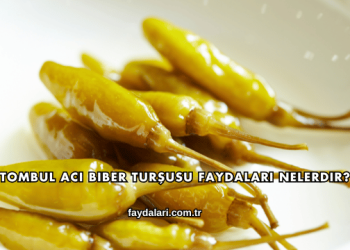 Tombul Acı Biber Turşusu Faydaları Nelerdir?