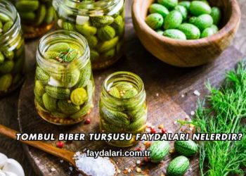 Tombul Biber Turşusu Faydaları Nelerdir?