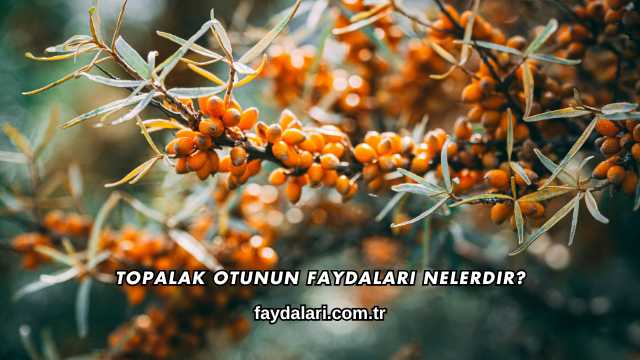 Topalak Otunun Faydaları Nelerdir?
