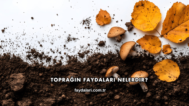Toprağın Faydaları Nelerdir?