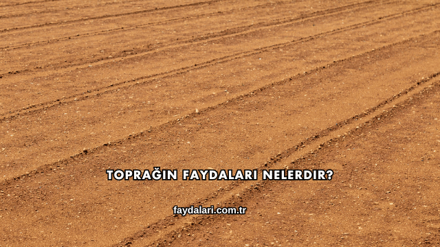 Toprağın Faydaları Nelerdir?