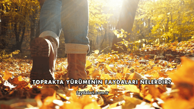 Toprakta Yürümenin Faydaları Nelerdir?