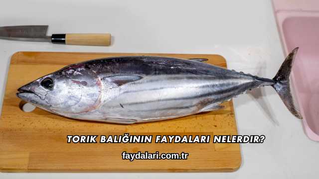 Torik Balığının Faydaları Nelerdir?