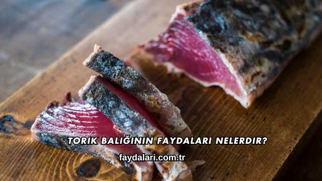 Torik Balığının Faydaları Nelerdir?