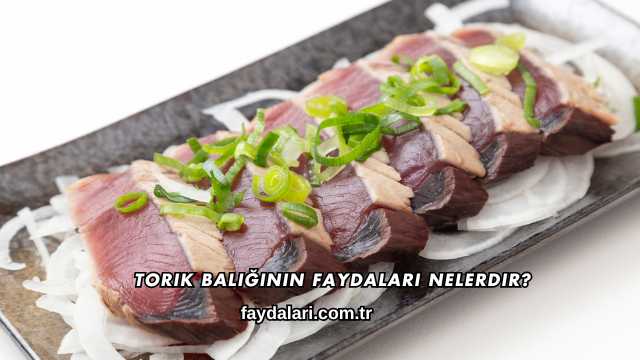 Torik Balığının Faydaları Nelerdir?