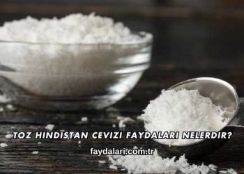 Toz Hindistan Cevizi Faydaları Nelerdir?