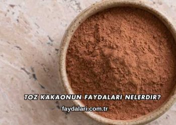 Toz Kakaonun Faydaları Nelerdir?