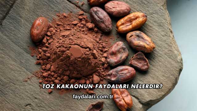 Toz Kakaonun Faydaları Nelerdir?