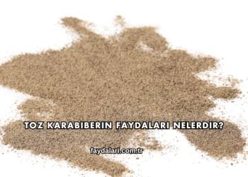 Toz Karabiberin Faydaları Nelerdir?