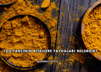 Toz Tarçının Bitkilere Faydaları Nelerdir?
