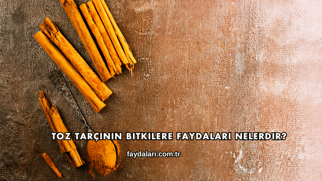 Toz Tarçının Bitkilere Faydaları Nelerdir?